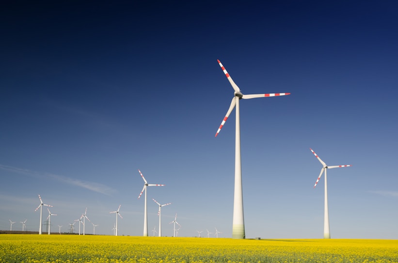 Philippines pauses fifth green energy auction for recalibration