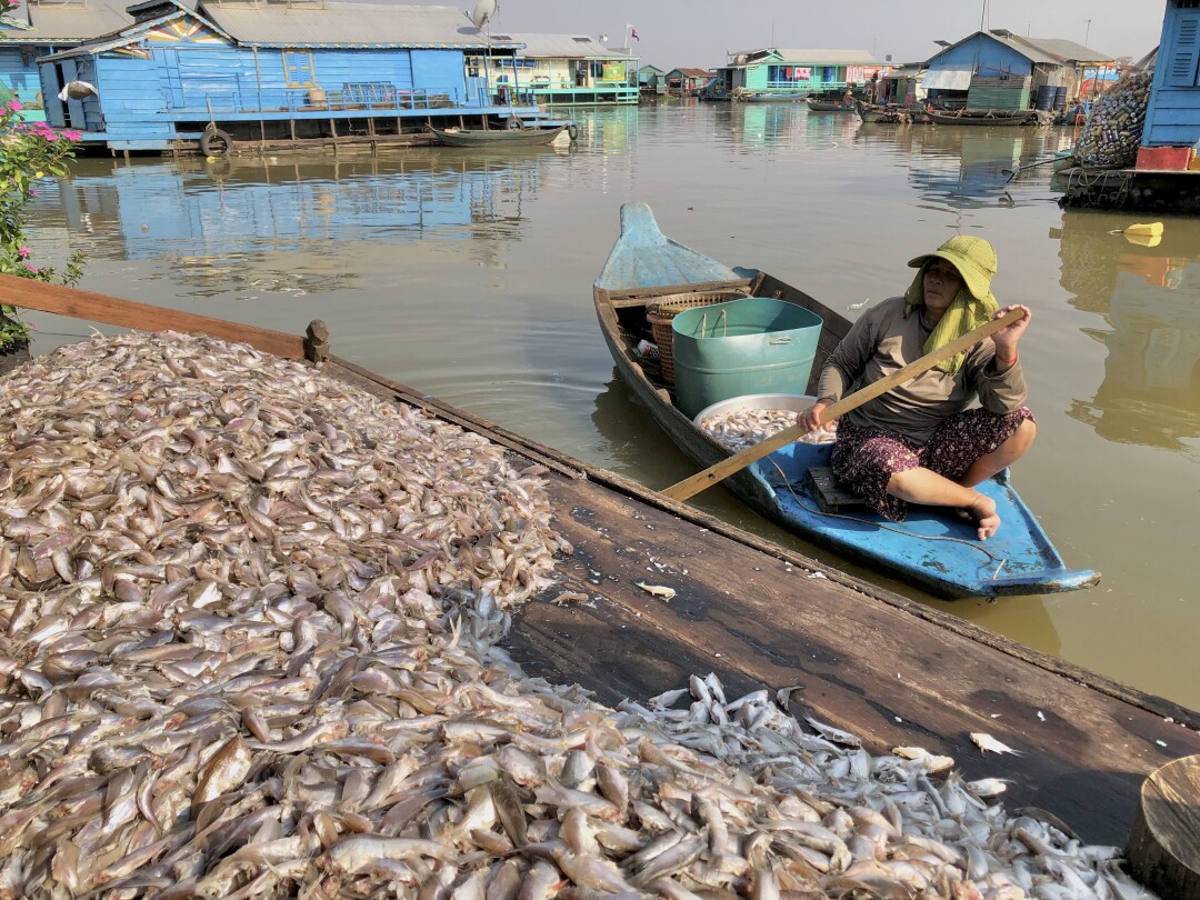 Fisherwoman in Kampong Luong Cambodia