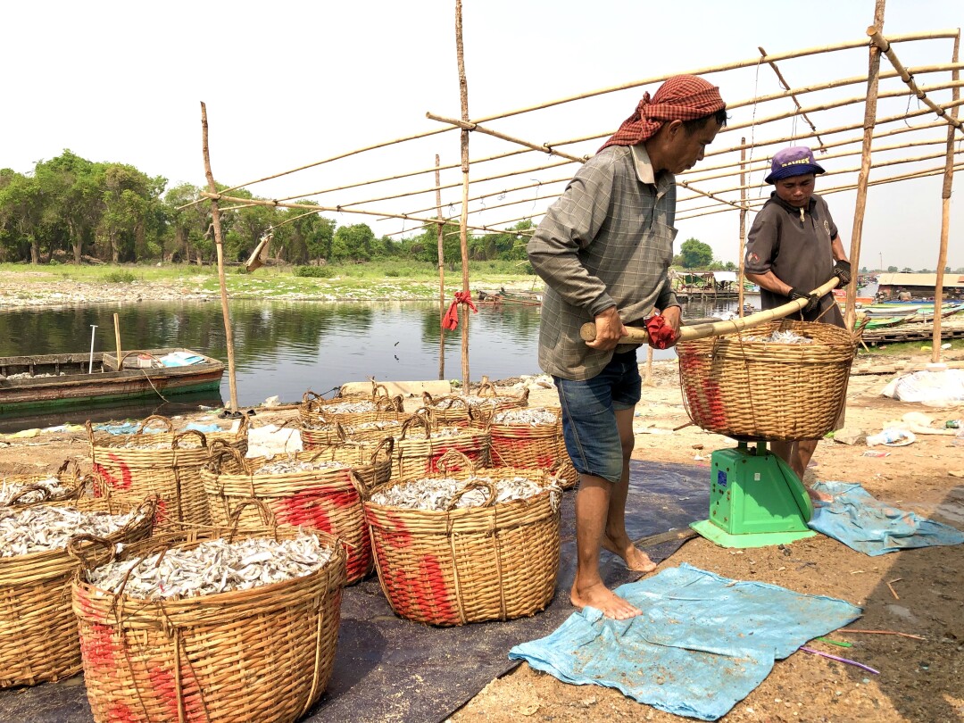 Fisherman at Chhnok Tru Cambodia