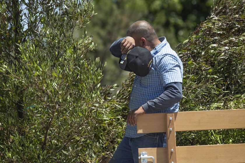 CANOGA PARK, CA-JULY 11, 2019: Salvador Betancurt wipes away the sweat while unloading dodonea purp